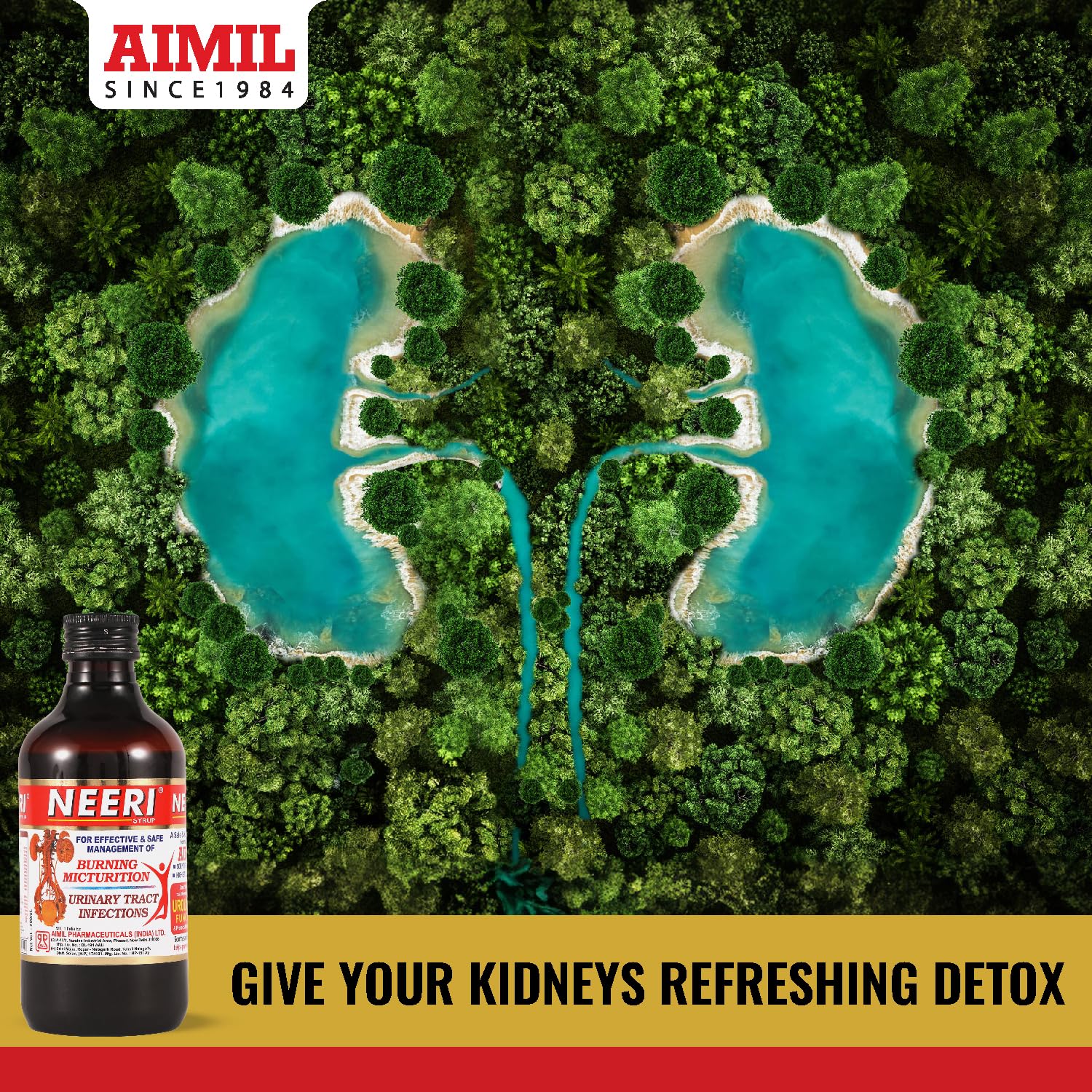AIMIL Neeri Syrup for Kidney Health – 200ml | Ayurvedic Tonic for  Tract Infections (UTI) Support | Helps Relieve Burni and Regulate pH Balance (Pack of 2)